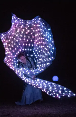 LEDshow für Sommerfeste
