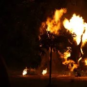 Feuershow Zwickau