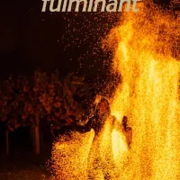 Constance – Performance